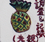 調査＆記録（観光）