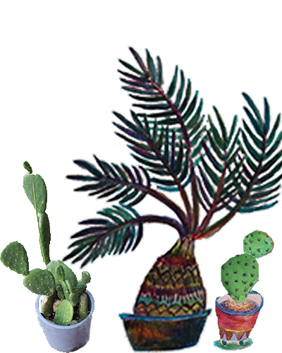 サボテンと観葉植物